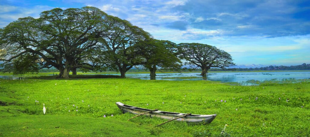 Tissamaharama – The Cultural and Safari Crossroads of Southern Sri Lanka