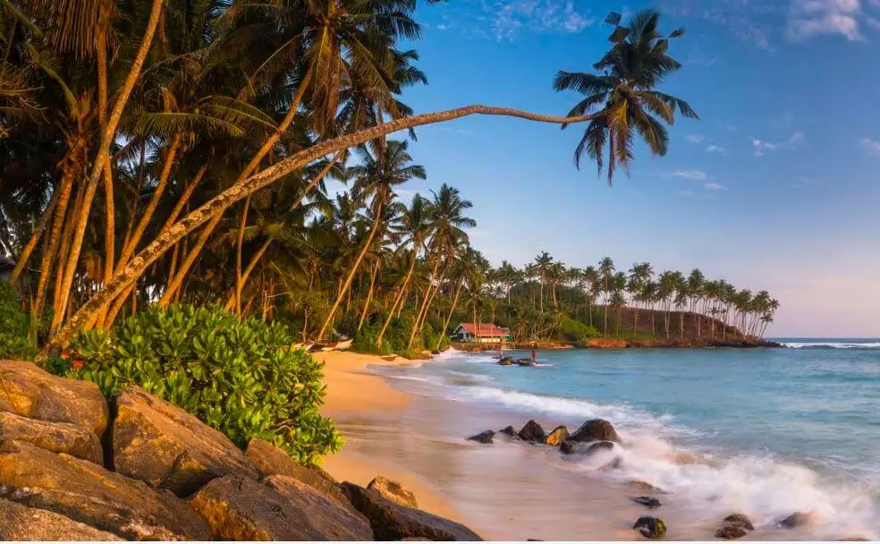 Trincomalee Sri Lanka: A Complete Travel Guide to Beaches, Culture and Coastal Adventures 3 Trincomalee Sri Lanka