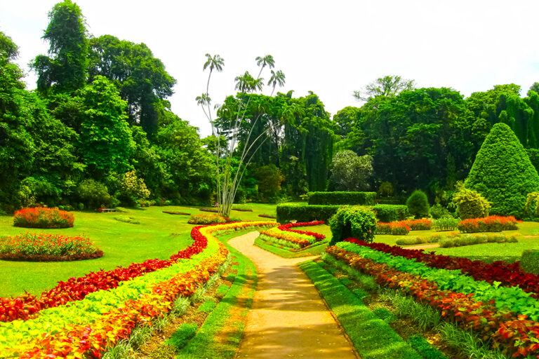 Peradeniya Sri Lanka