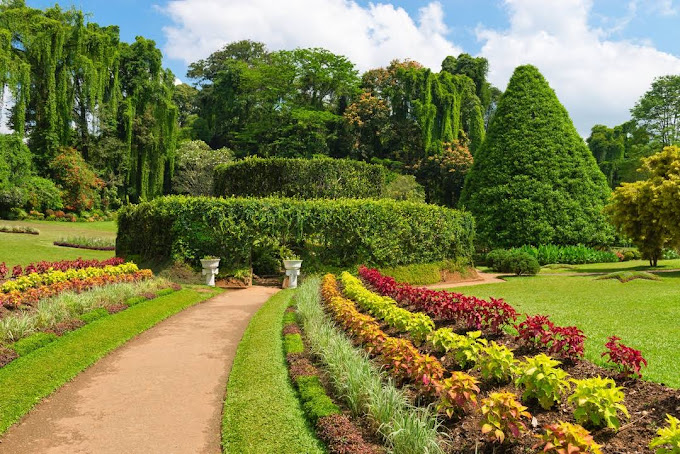 Peradeniya Sri Lanka